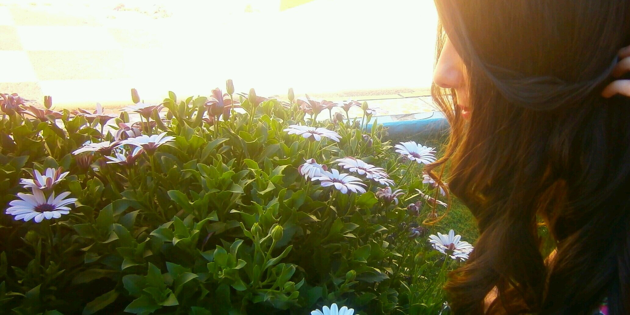 Noelia Ferrer banner