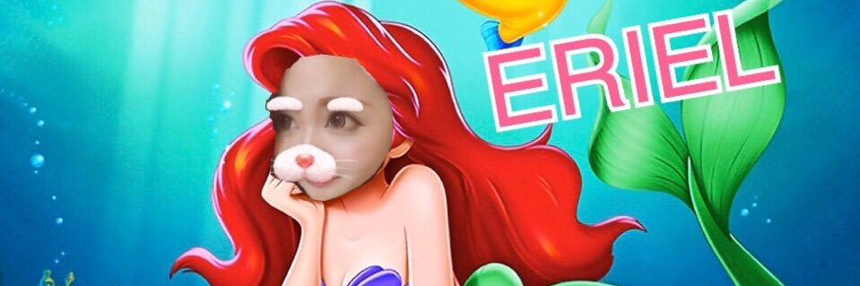 erichisu17's profile banner image