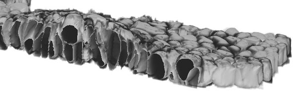 marija_matejcic Profile Banner