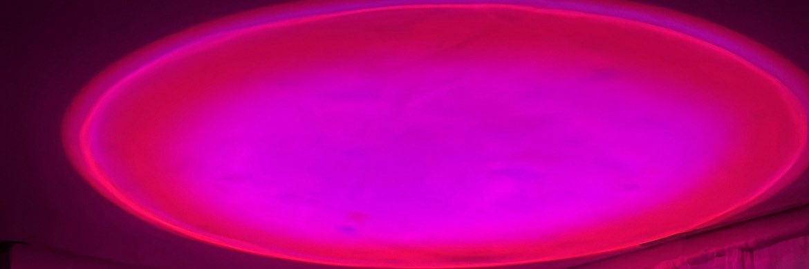 They__2000's profile banner image