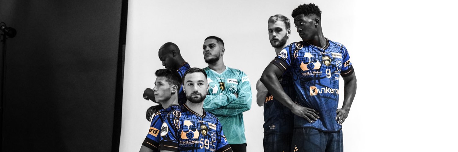 Brice Mesnard banner