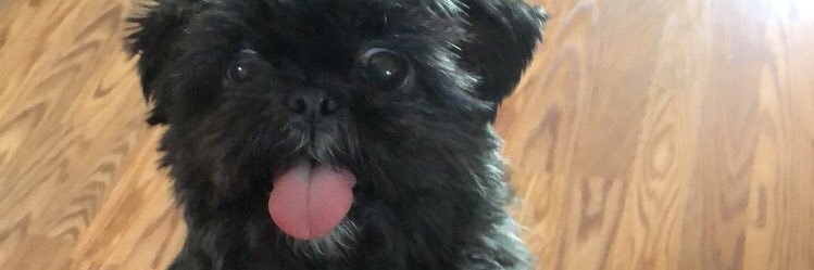 vanessalv96's profile banner image