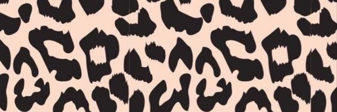 dranschlo's profile banner image