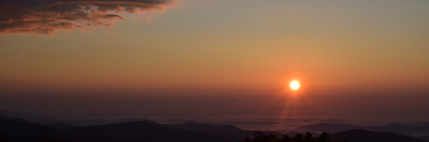 carolynlima's profile banner image