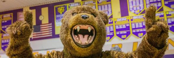 LB Bruins Athletics banner