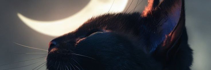 Rust_015's profile banner image