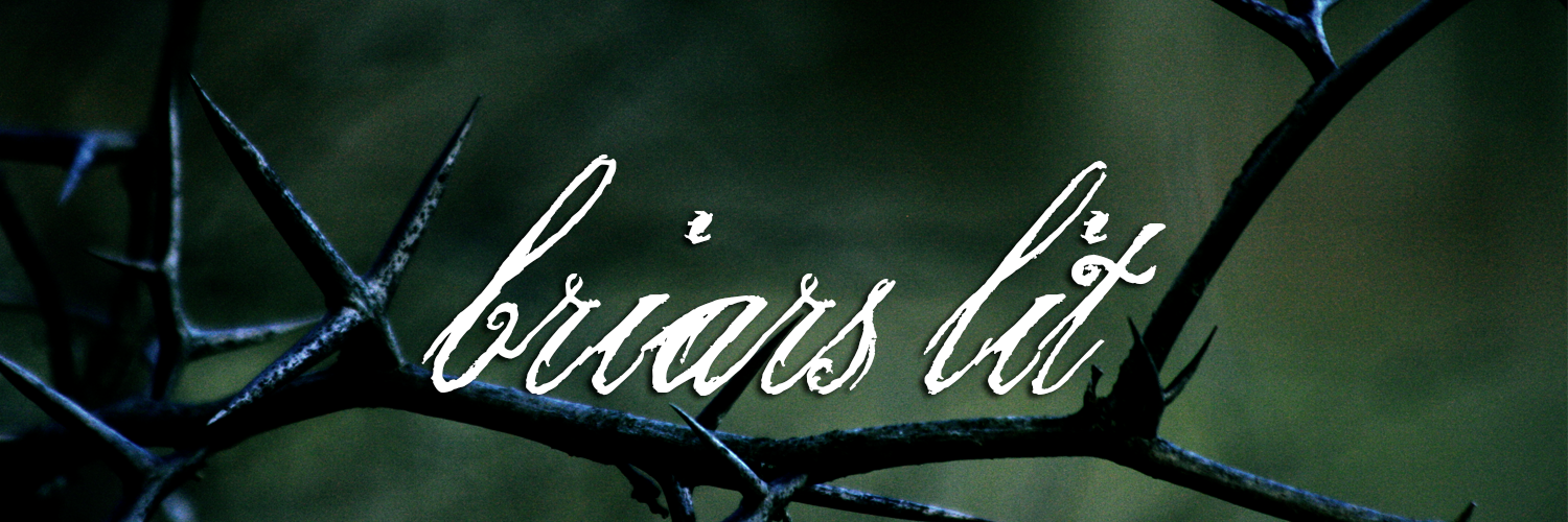 briarslit's profile banner image
