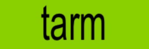 TarmStrife Profile Banner