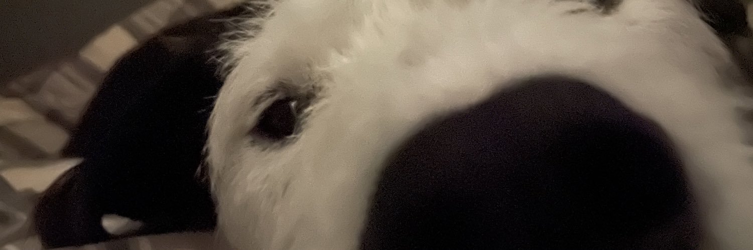 almknight's profile banner image