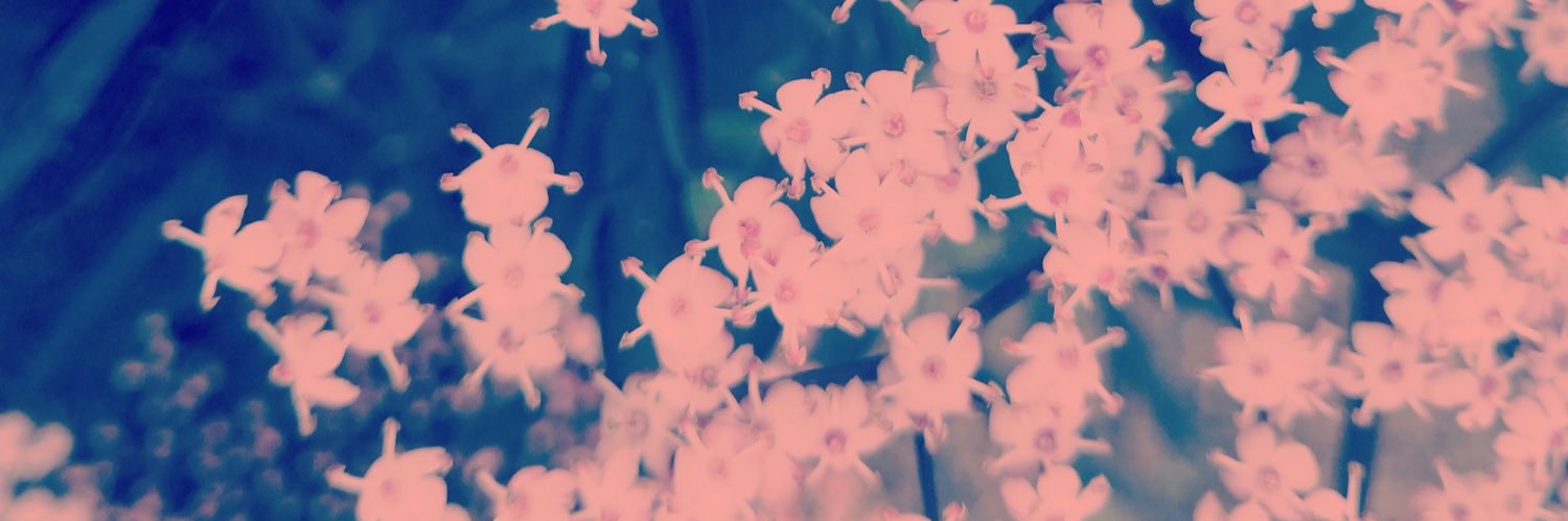 eb4e's profile banner image