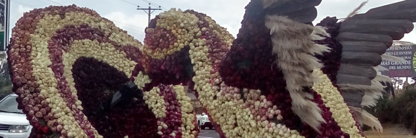 luiscudco's profile banner image
