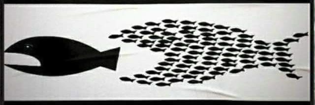 SidiqArif banner