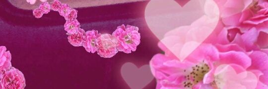 evewetz's profile banner image