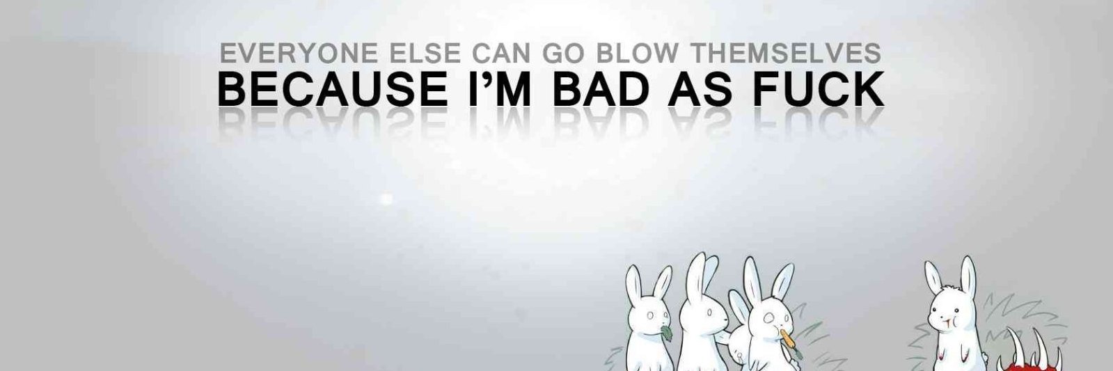 Valocirabbit banner