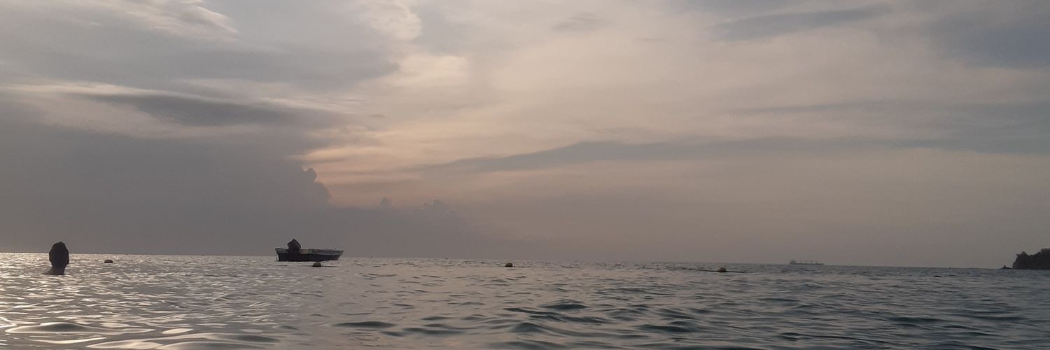 Francy García banner