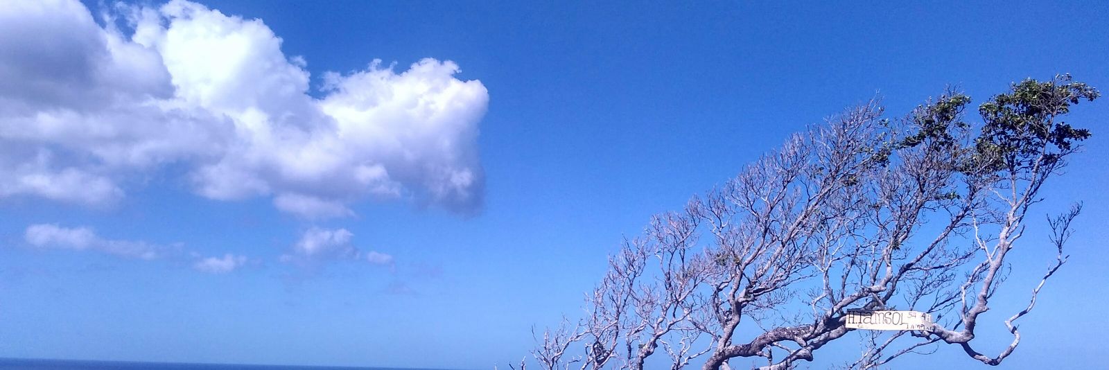 Pretty Olan Oktavia Sihite banner