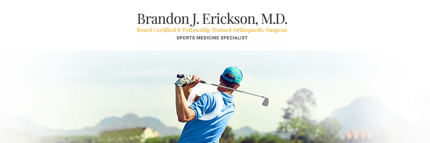 Brandon Erickson banner