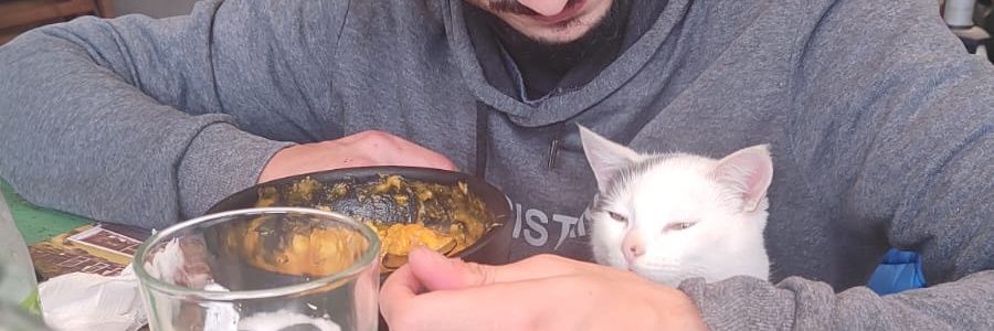 mrpopevolution's profile banner image