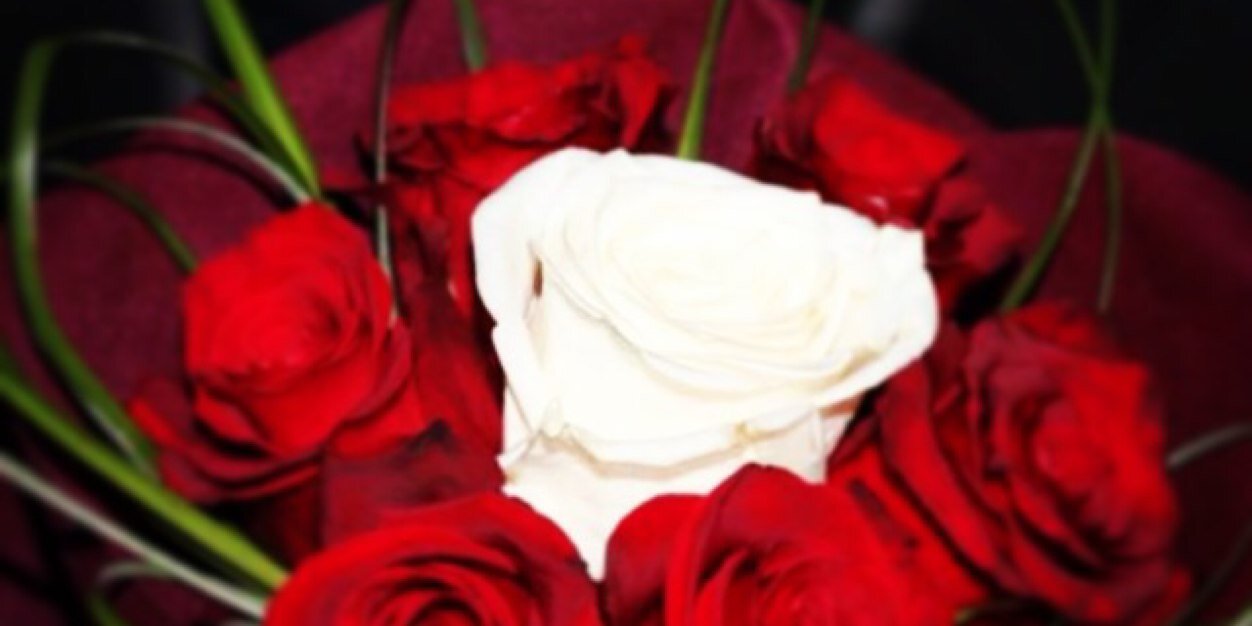 rr9903's profile banner image