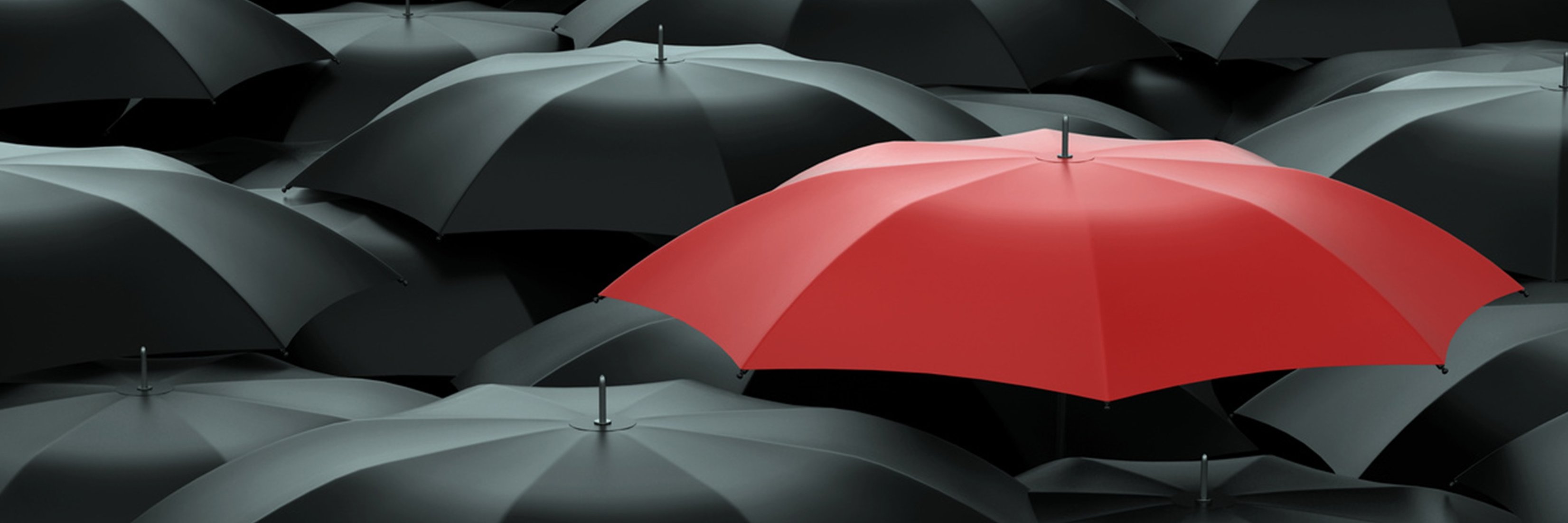 Randy Hamilton banner