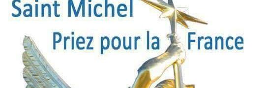 PATRICK 35 (matricule 594) banner