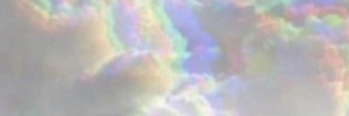 shannoncrangle's profile banner image
