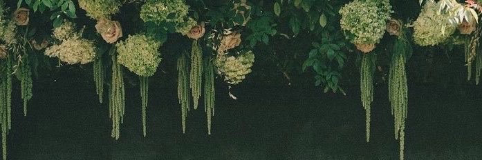 ZahBdr's profile banner image