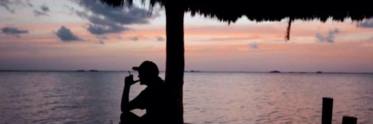 salmxnf's profile banner image