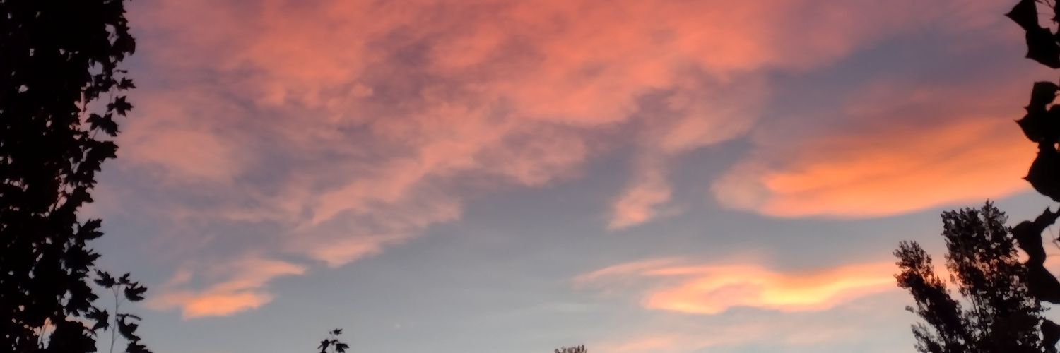 sssofiatob's profile banner image