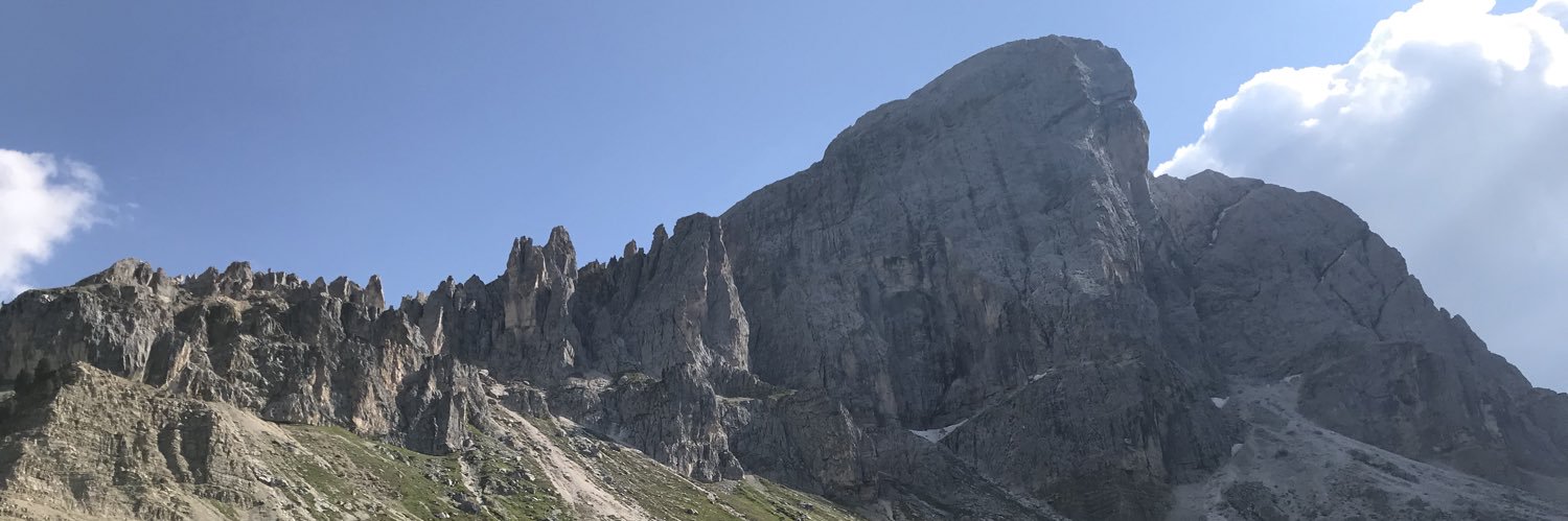 Fulvio Pinelli banner