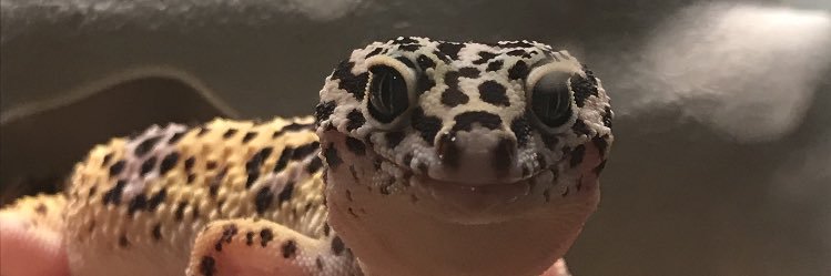 7_murray_7's profile banner image