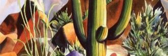 jackcox339's profile banner image