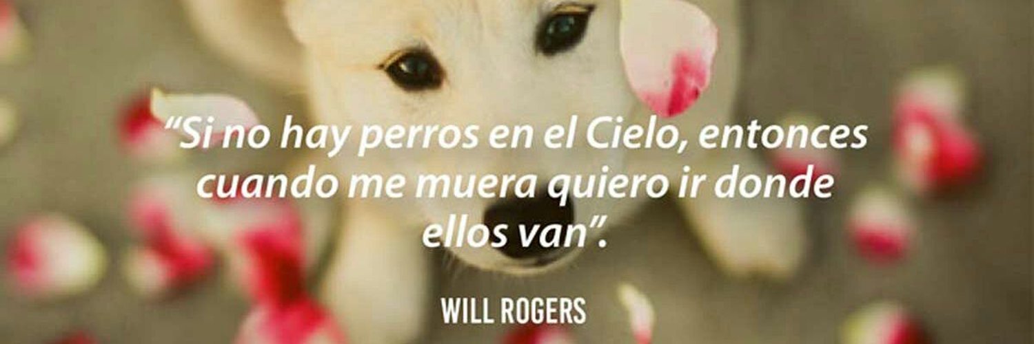 🌷 Graciela 🌷 banner