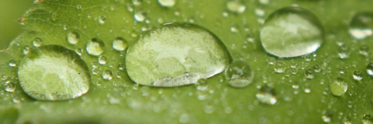 Swampp_0206's profile banner image