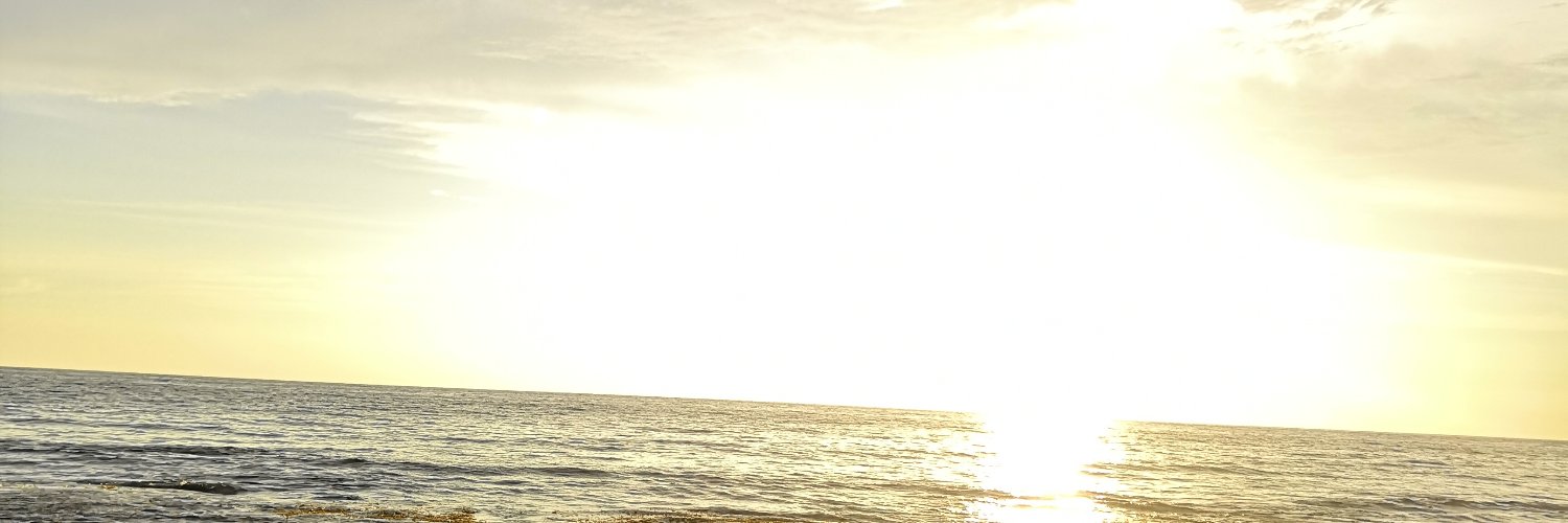 Abibibs's profile banner image