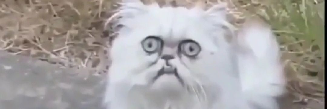 RichoWhisp's profile banner image