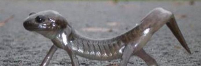 h banner