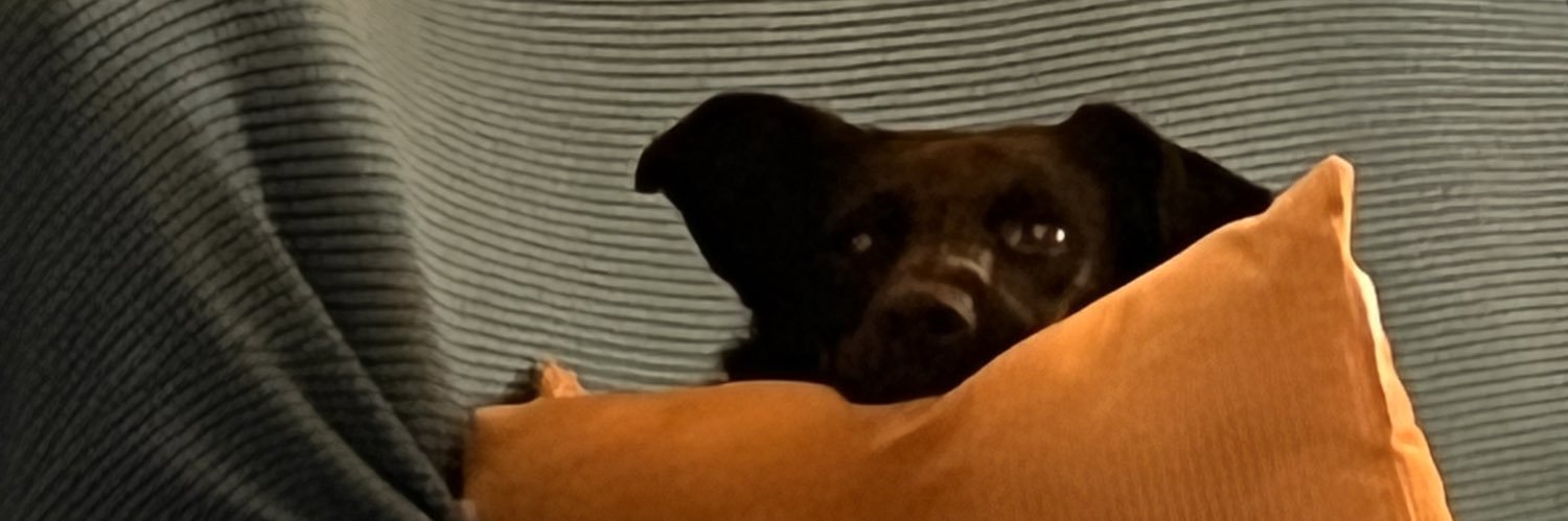 LongLiveStev's profile banner image