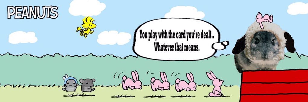 Micu201637🦭 banner