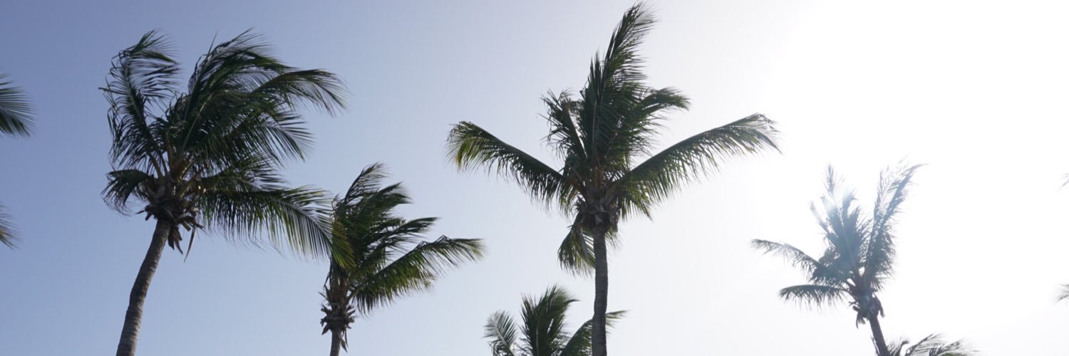 Gnarly_Marlee's profile banner image