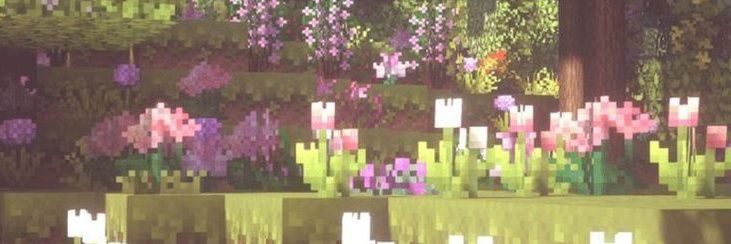ale banner