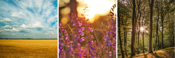 CLAND_saclay Profile Banner