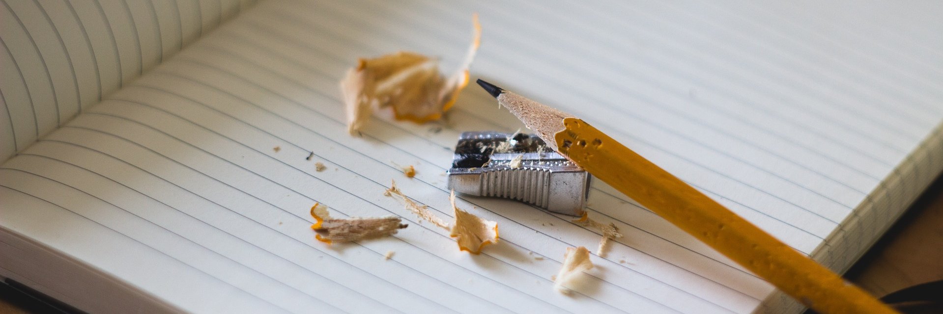 Projecte Escola Nova 21 banner