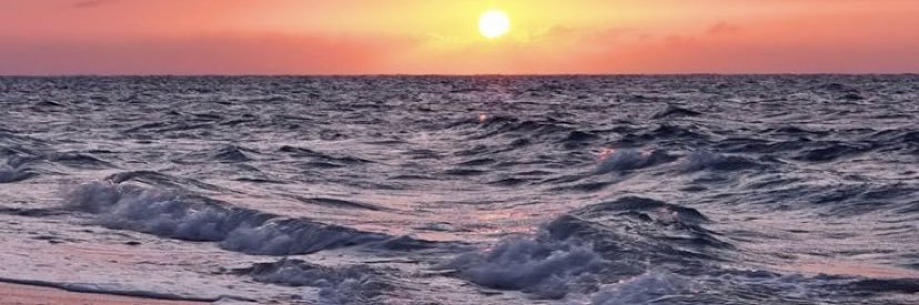 NeikaBee27's profile banner image
