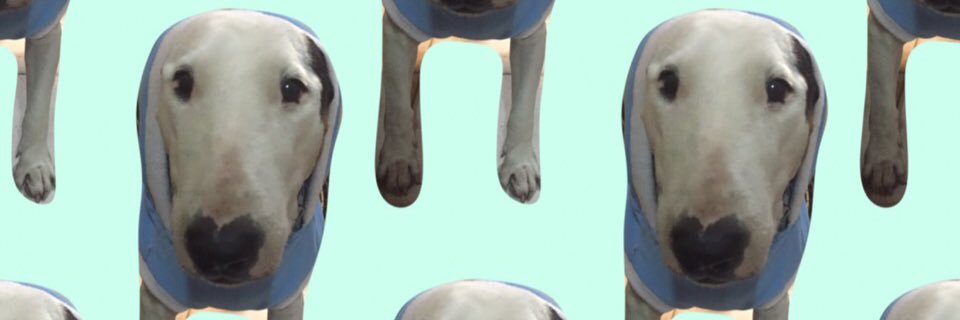 Mindppppp's profile banner image