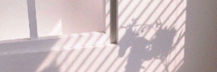 tami 🌻 banner
