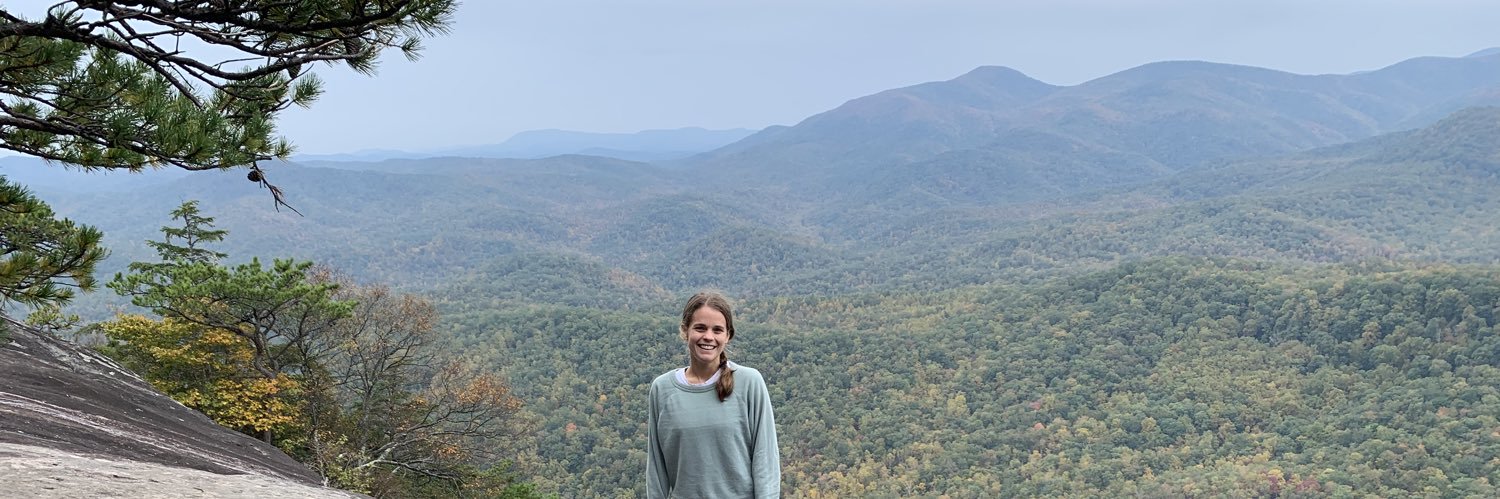 snoozannah's profile banner image