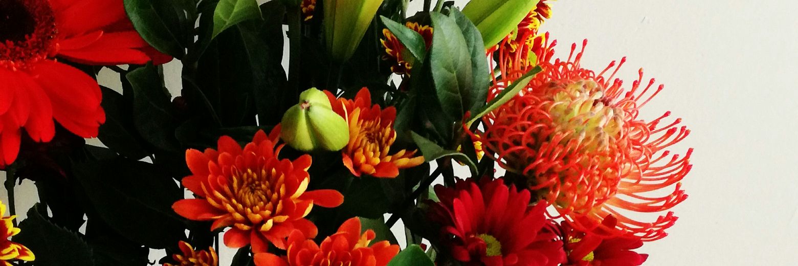 Mosima_Mannya's profile banner image