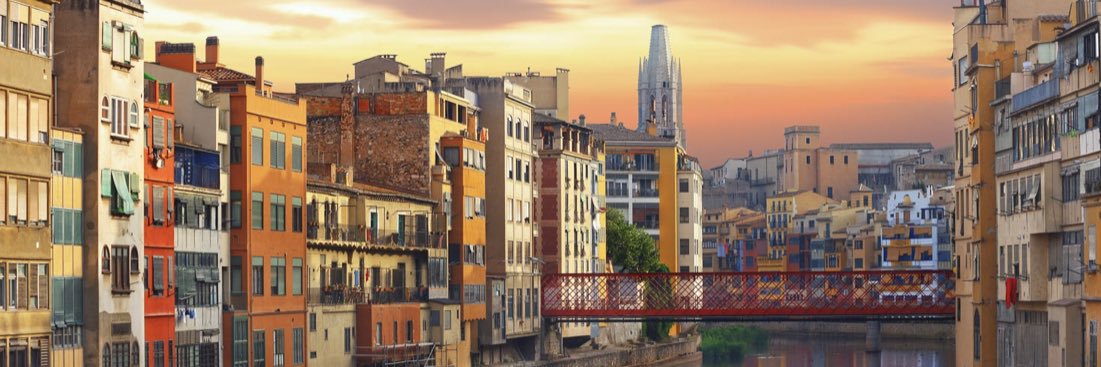 Elena Freixas banner