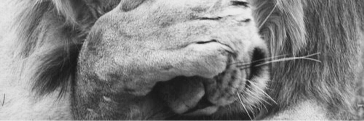 undefiltered's profile banner image